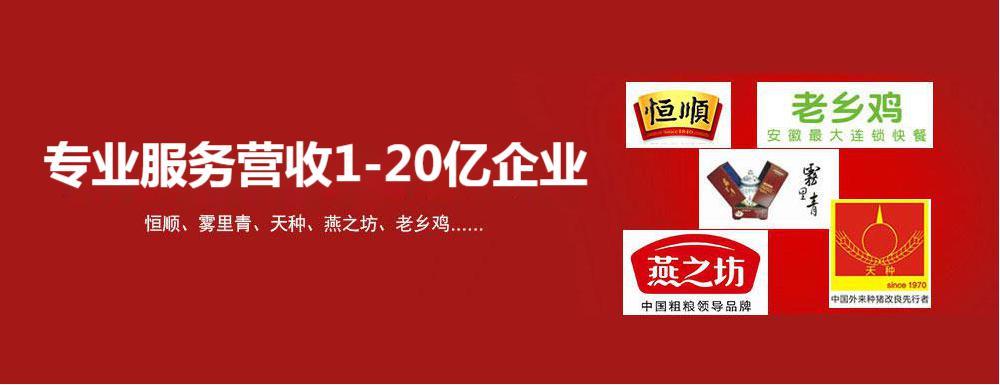 鲁建华用定位专业服务营收1-20亿企业，恒顺，雾里青，天种，燕之坊，老乡鸡。。。