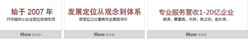 中小企业定位咨询先河，发展定位到定位体系，服务成长企业遥遥领先。